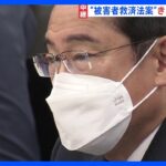 「被害者救済法案」きょう成立へ　異例の“休日審議”　岸田総理「1人でも救えるよう全力で」｜TBS NEWS DIG