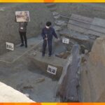 考古学ファンからは感動の声も　長さ３ｍ超、日本最大の「木製埴輪」と発掘調査現場を一般公開