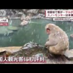 【大気不安定】鳥取で“バチバチ”大粒の雹やあられ　地獄谷ではサルが“雪見温泉”(2022年12月11日)