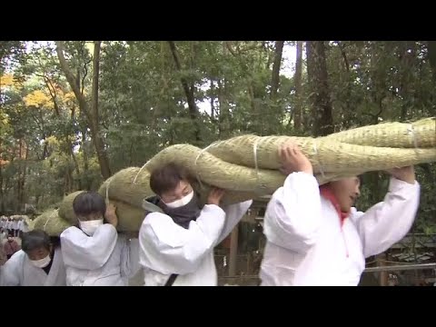 約８ｍ・約４００ｋｇの「大しめ縄」のかけ替え　奈良・桜井市の大神神社で迎春準備（2022年12月11日）