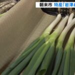「寒くなるにしたがってさらにおいしく」特産『岩津ねぎ』の収穫　兵庫・朝来市（2022年12月11日）