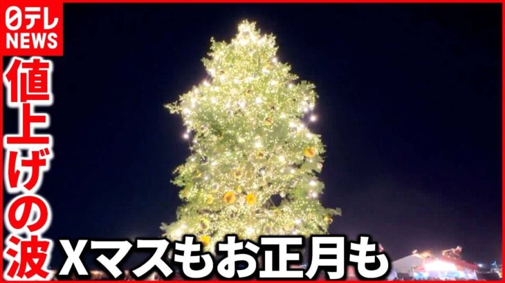 【値上げの波】年末年始に寂しいフトコロ事情… 来年こそはマスマス「いい年」に！