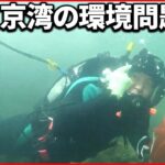 【東京湾で“ゴミ拾い”】桝太一が海底で見つけた意外なモノ