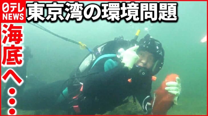 【東京湾で“ゴミ拾い”】桝太一が海底で見つけた意外なモノ