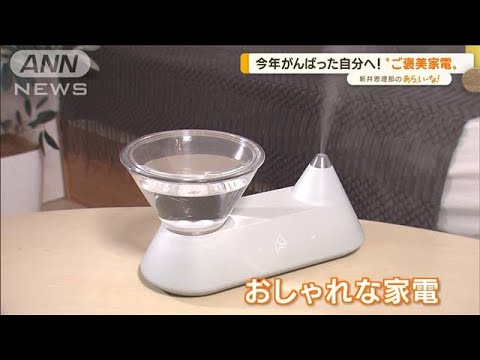 家電専門家が選ぶ“ご褒美家電”…「加湿器」「美顔器」「掃除機」【あらいーな】(2022年12月12日)