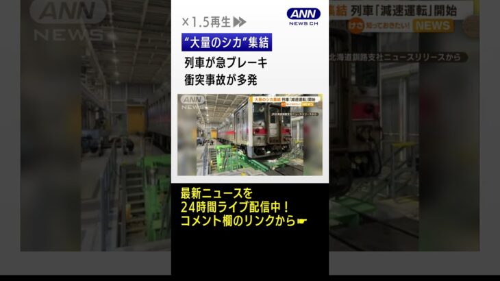 “大量シカ”集結　列車「減速運転」 衝突事故が多発…専門家が指摘“2つの可能性”