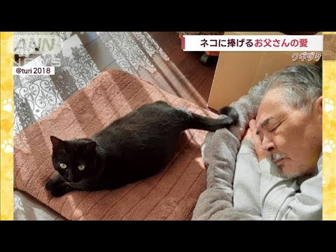 ネコに捧げるお父さんの“愛”　ベッドをプレゼントも…(2022年12月12日)