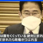 “防衛増税”に揺れる閣内　一方、総理周辺からは「ここで折れたら政権がつぶれる」の声｜TBS NEWS DIG