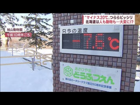 今季“最強寒気”襲来へ～「暖房高い」北国動物園～ギリ間に合う鎌倉“紅葉”穴場(2022年12月12日)