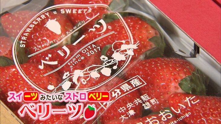 地元消費されてきた大分県イチゴ「ベリーツ」が京都に進出！農家存続を願って誕生（2022年12月14日）