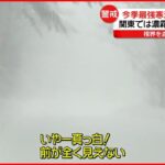 【冬の嵐】横殴りの雪に強風で被害も 関東内陸では霧が発生