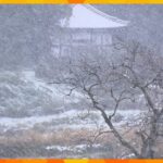 「１月、２月を耐えられる自信無い」奈良は氷点下で初の冬日、初氷観測　近畿各地で今季一番の冷え込み