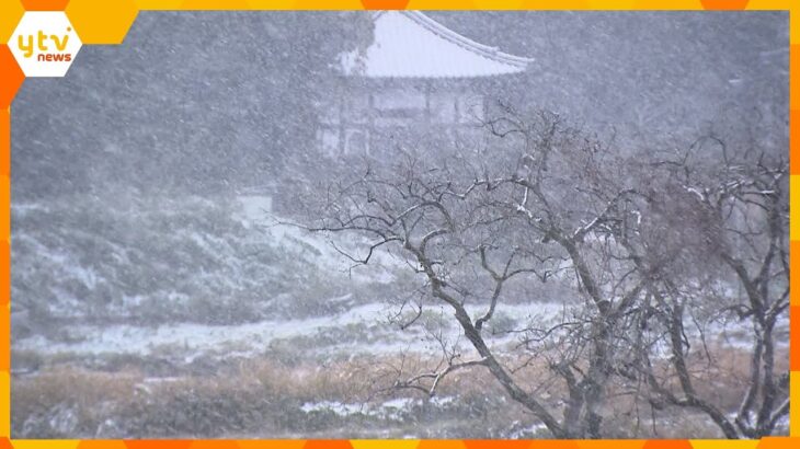「１月、２月を耐えられる自信無い」奈良は氷点下で初の冬日、初氷観測　近畿各地で今季一番の冷え込み