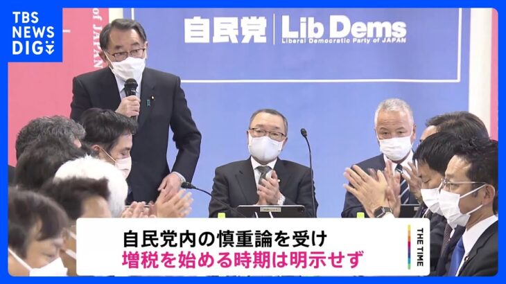 与党税制改正大綱きょう決定へ　増税の開始時期は示されず｜TBS NEWS DIG