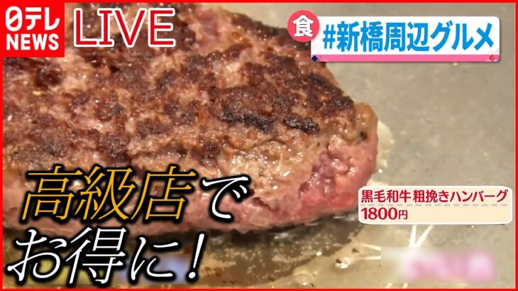 【グルメライブ】国産黒毛和牛ハンバーグ　高級鉄板焼き店のお得なランチ などーー東京・新橋周辺グルメ “every.グルメ”シリーズ一挙公開　 (日テレNEWS LIVE)