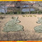 安倍文殊院　来年の干支“ウサギ”と“合格”描いたジャンボ花絵　奈良・桜井市
