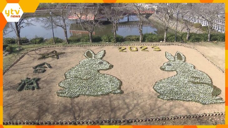 安倍文殊院　来年の干支“ウサギ”と“合格”描いたジャンボ花絵　奈良・桜井市