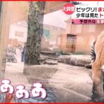 【投稿動画】エサが池ポチャ!? 動物たちのオモシロ映像３連発！『every.特集』