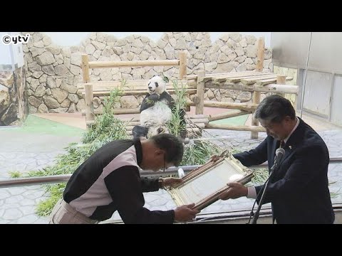 和歌山県・白浜町のジャイアントパンダ「永明」が日本と中国の「友好特使」に