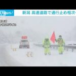 大雪の影響　新潟の高速道路で通行止め相次ぐ　冬用タイヤ装着、チェーン携行を(2022年12月19日)