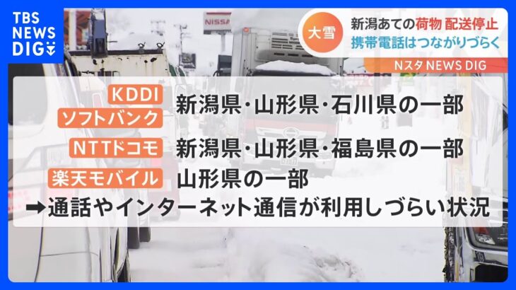 新潟の大雪　災害用伝言板の利用を　携帯の緊急通報がつながりにくい状態｜TBS NEWS DIG