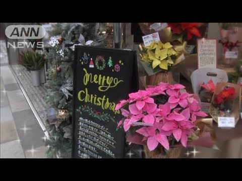 “クリスマス商戦”好調のカギは外国人客 「メイド・イン・ジャパン」に大喜び(2022年12月21日)