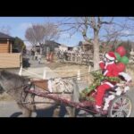 姫路セントラルパークでクリスマスイベント　サンタに扮した飼育員がポニーの引く馬車に乗車　カワウソがカードをプレゼント