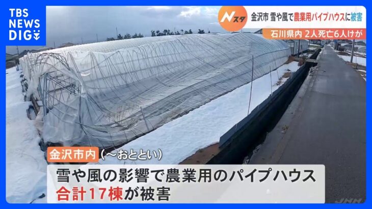 「目も口も開かないくらい」雪や風の影響で農業用パイプハウス17棟が被害　石川・金沢市｜TBS NEWS DIG