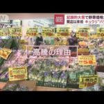 【野菜高騰】記録的大雪で価格が↑　年末にむけホウレンソウ影響か(2022年12月26日)