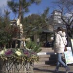 「すごく風情ある」世界遺産・姫路城に高さ５ｍの『ジャンボ門松』　１月中旬まで設置（2022年12月26日）