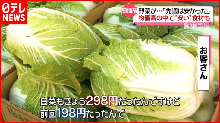 【物価高】大雪の影響で白菜や大根も値上げも…お財布に優しい“イワシ”と“まいたけ”