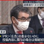 【“ステマ”対策】消費者庁が初のとりまとめ ｢広告｣表示なければ規制対象に