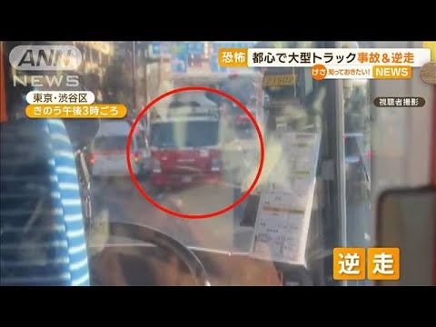 東京都心で…大型トラック“事故”＆“逆走”　逃走した男を現行犯逮捕(2022年12月28日)