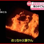 【火災】中央分離帯が“火の海”に…“枯れ草”が燃える 千葉・富津市