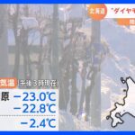 北海道で厳しい冷え込み「ダイヤモンドダスト」出現｜TBS NEWS DIG