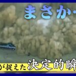 【まさか…】カメラがとらえた世界の決定的瞬間を一気見　大規模地すべり／列車衝突で九死に一生／レスキュー隊決死の救出など　ANN/テレ朝