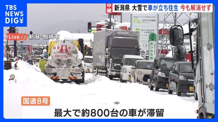 新潟・国道8号　新潟市方面は1時間に100メートルほど進む　記録的大雪での滞留いまだ解消されず｜TBS NEWS DIG