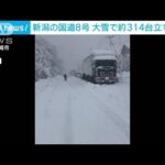 【大雪の影響】新潟・国道8号　通行止め22kmに314台の車が立ち往生(2022年12月20日)
