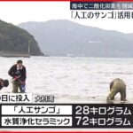 【CO2削減へ】大村湾から世界へ…「人工サンゴ活用」CO2削減へ新たな挑戦