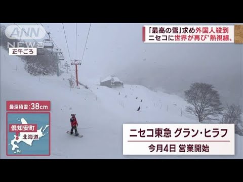 【外国人殺到】最高の雪“ふわふわJAPOW”に世界が称賛!(2022年12月7日)