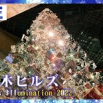 【LIVE】きょうは六本木ヒルズ　東京のクリスマスツリー、イルミネーションをライブ配信　Christmas Illumination Live 2022　ANN/テレ朝