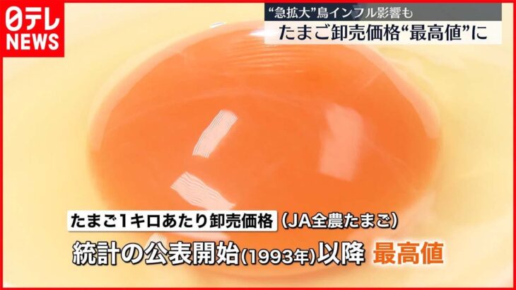 【たまご】卸売価格“最高値”に 東京地区のMサイズ1キロ平均284円