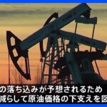 OPECプラス　日量200万バレル減産維持で合意　｜TBS NEWS DIG