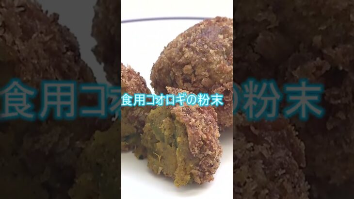 給食のコロッケに入っているのは…？#Shorts #昆虫食