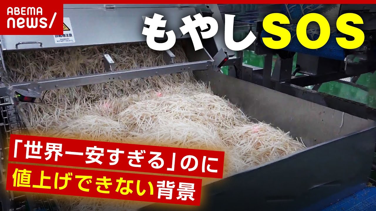 【もやしSOS】生産者が悲鳴「世界一安すぎる」のに値上げできない背景