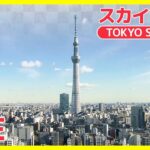 【ライブカメラ】東京スカイツリー “TOKYO SKY TREE” 634m The TALLEST Free-Standing Radio Tower in the world（日テレNEWS）