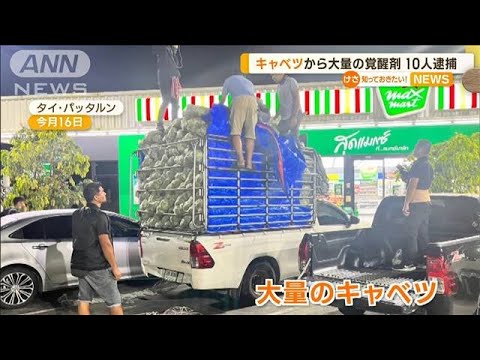 大量のキャベツやお茶に隠し…“約1.1トンの覚醒剤”押収　10人逮捕　タイ(2023年1月25日)