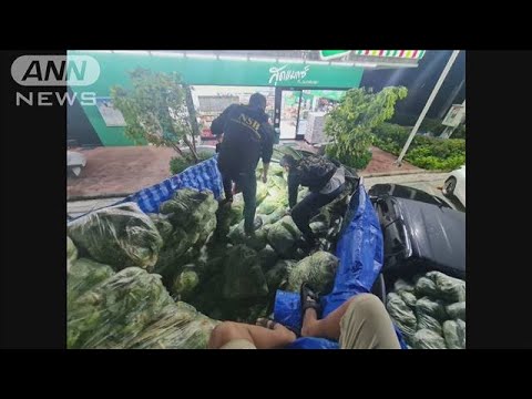 タイ警察　キャベツやお茶で偽装の覚醒剤1トン超押収(2023年1月24日)