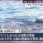 【クジラとみられる死骸】ビーチに流れ着く 体長10メートル近く 沖縄・北谷町