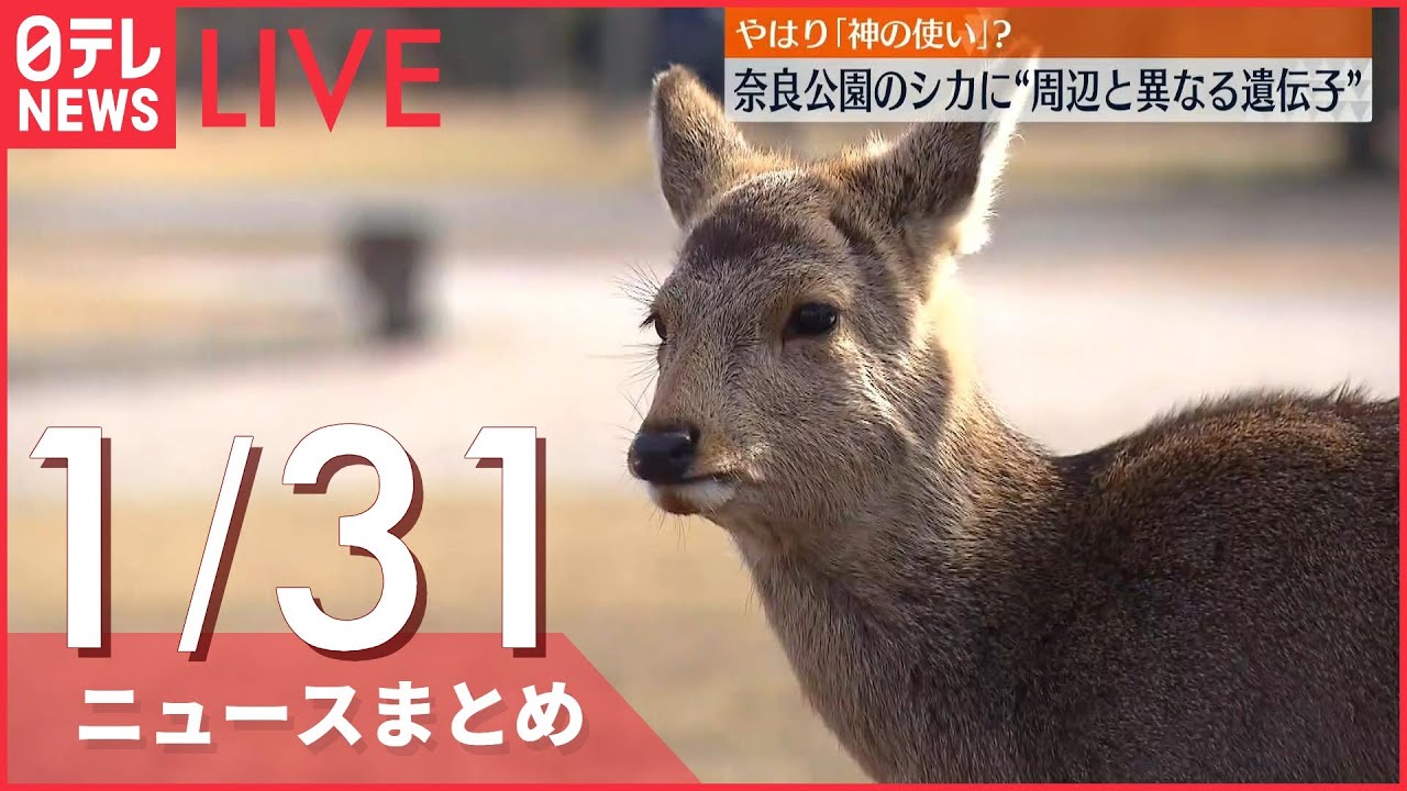 【夕 ニュースライブ】最新ニュースと生活情報（1月31日）――THE LATEST NEWS SUMMARY（日テレNEWS LIVE）